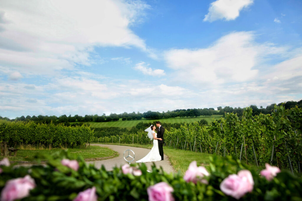 Wedding in the vineyards in North Carolina